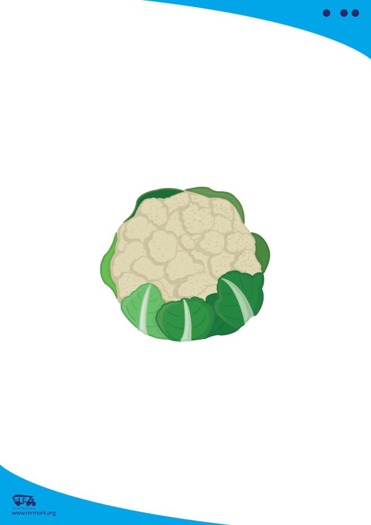 Illustration bank picture of a cauliflower from the vegetables set