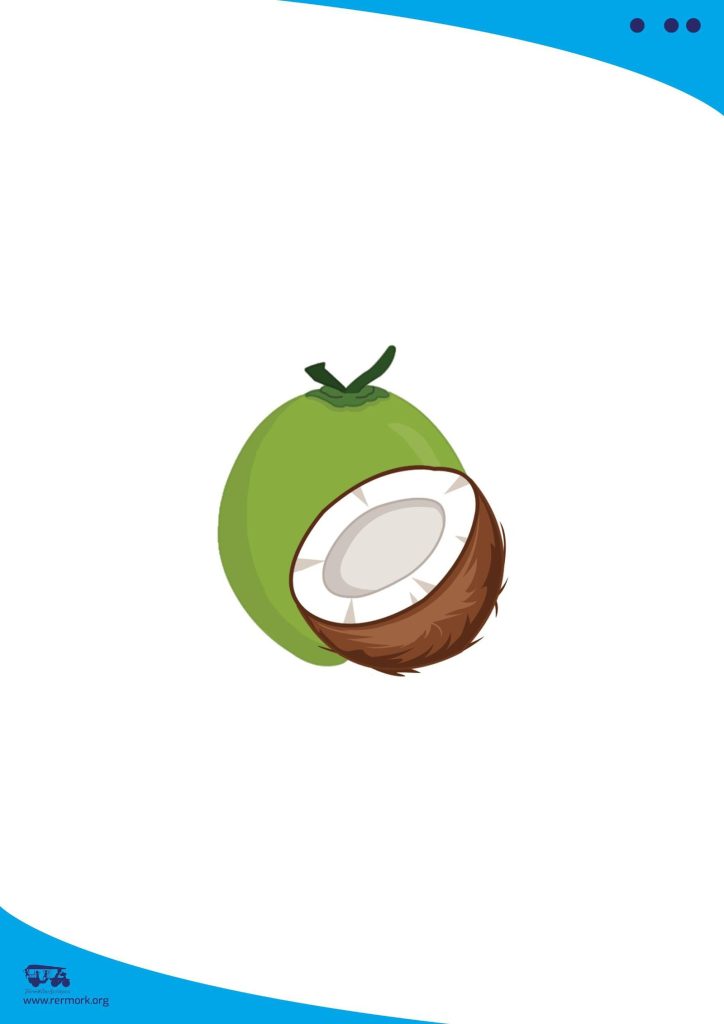 Illustration bank picture of a green coconut cut open from the fruit set