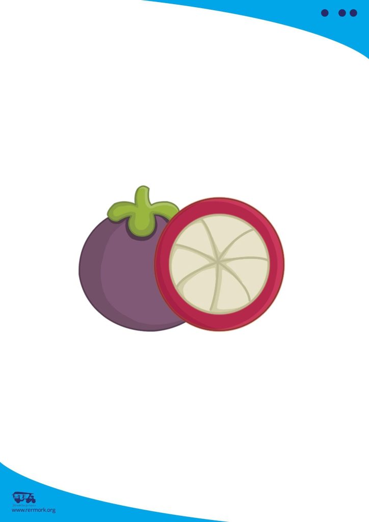 Illustration bank picture of a whole mangosteen next to a halved one from the fruit set