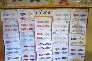 A classroom wall covered with children’s colourful paper fish displayed in neat rows