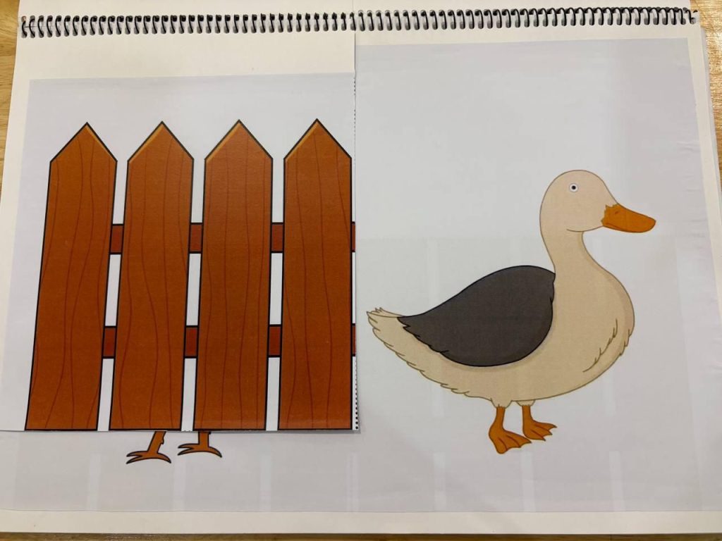 Pages of a spiral-bound picture book showing a wooden fence on one side and a duck on the other