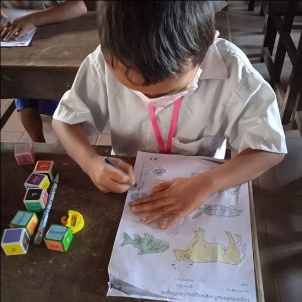 A boy in school uniform colours animal pictures on a worksheet beside a few coloured letter blocks