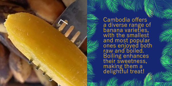 A piece of boiled banana held on a fork, with text about Cambodian banana varieties