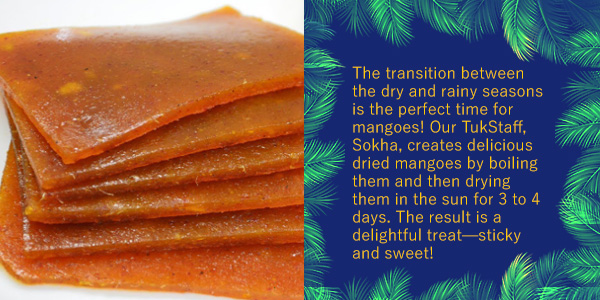 Stacked dried mango slices beside text on mango season and how a staff member boils and sun-dries them for days