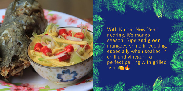 Chrok Svay, pickled green mango with chili beside grilled fish, with text about mango season before Khmer New Year